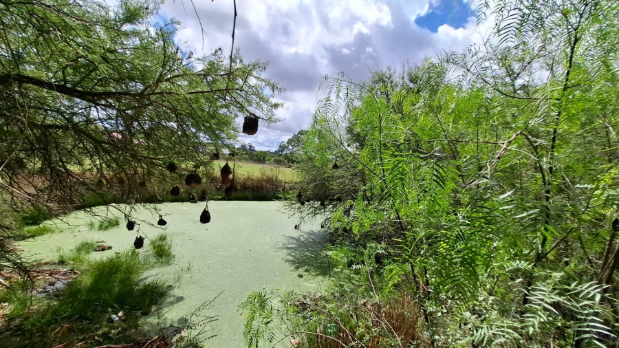 0 Bedroom Property for Sale in Heidelberg Western Cape